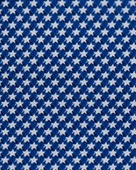 Patriotic Stars Navy Blue Polo
